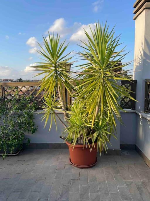 Apartamento Terrazza Talenti